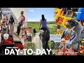 Download Lagu a busy, well rounded week | cranberries, autumn chores + some fun (traveling)...
