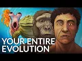 What Did Humans Evolve From