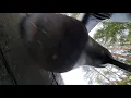 Trampled Under Giantess In Leather High Heels