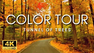 WORLD FAMOUS Tunnel Of Trees In Harbor Springs Michigan Scenic Fall Drive With Car Rain Sounds 