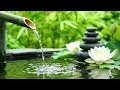Healing Nature Atmosphere and Soft Ripples | A Peaceful Water Garden • Relaxation and Deep Sleep