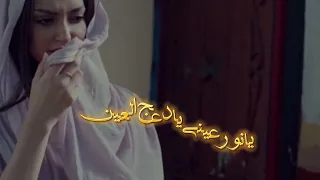 شيله يامرحبا مليار بزين حالات واتس اب شيلات ستوريات انستغرام 2023 