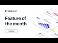 Care Portal Feature of The Month February 2025