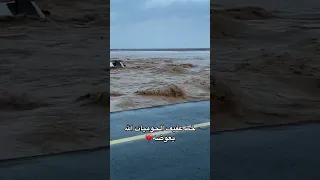 خط عفيف تابع كيف سحب السيل السياره ترندالسعودية اكسبلور بن ترندد تصويري Animal Honey 