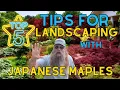 Top 5 Tips For Landscaping With Japanese Maples DIY Garden Design MrMaple