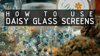 How To Use Daisy Glass Screens Keep your bong pipe clean - Cannabasics