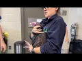 A New Jersey zoo lets visitors watch veterinarians treat the animals