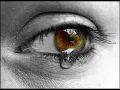 Curse Feat. Silbermond - Bis zum Schluss [Lyrics]