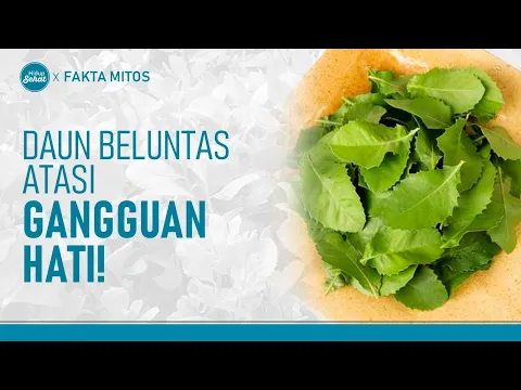 Daun Beluntas Sehatkan Liver! Manfaat Lainnya