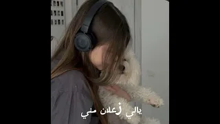 يالي زعلان مني   مسرعه دندنها