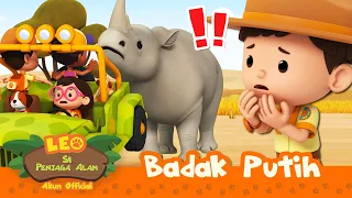 badak ini menyerang kita badak putih leo si penjaga alam minisode
