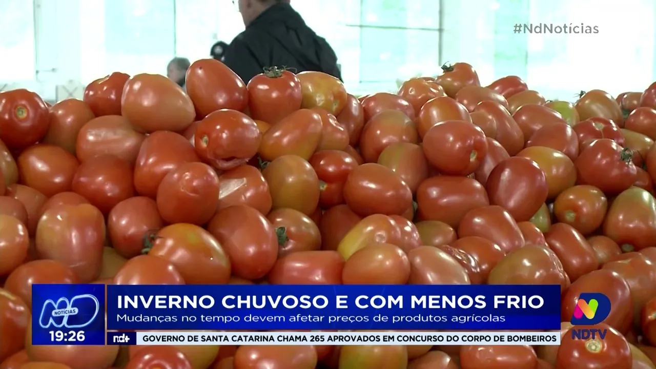 Mudanças no tempo devem afetar preços de produtos agrícolas em SC