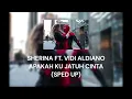 Download Lagu Sherina ft  Vidi Aldiano - Apakah Ku Jatuh Cinta (Sped Up ver)