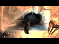 Hob s Fall cave