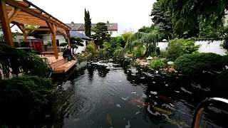                                                                             دندنها