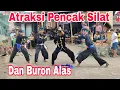 Download Lagu ATRAKSI PENCAK SILAT DAN BURON ALAS SATRIA MACAN KUMBANG LIVE WEWE GONDANG