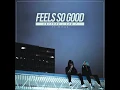 Feels So Good (feat. Aviella)