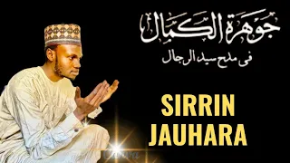 sirrin jauhara 