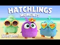 Download Lagu Angry Birds | Adorable Hatchlings Moments