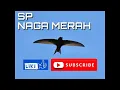 Download Lagu Suara panggil walet NAGA MERAH