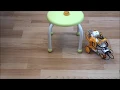 ラズベリーパイ(Raspberry Pi Zero WH) Scratchでロボット3