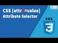 CSS attr value selector
