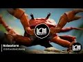 CRAB RAVE DUBSTEP REMIX 🦀🔥