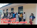 Download Lagu terima hasil keringat 1 bulan penuh || panen sawit terima gaji jutaan Rupiah‼️ sawit Kalimantan