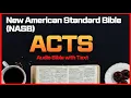 Acts - New American Standard Bible NASB