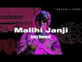 Download Lagu Gusty RemixeR - Malihi Janji ( DISCO TANAH ) 2023!!!!!!
