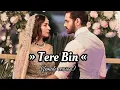 Download Lagu Tere Bin OST Female Version | Yumna Zaidi I Wahaj Ali #song #lyrics#trending#viral#slowandreverb