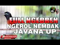 Lagu KONIN GACOR FULL NGEBREN JEDA NATURAL SANGAT EFEKTIF UNTUK MASTERAN KOLIBRI NINJA NGEROL JUGA NEMBAK
