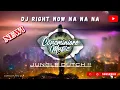 Lagu DJ Right Now Na Na Na - JUNGLE DUTCH FULL BASS TERBARU 2022