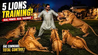5 lions ki same time traing difficult 😱butt Leo nay sab say zeada tang kia😳(mian saqib)