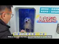 Full Automatic Self Service Dog Grooming Machine Custom Payment System Dog Self Service Wash Station