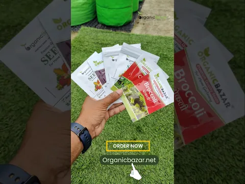 Want to grow organic Vegetables at home? buy gardening products online at Organicbazar.net #shorts