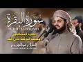 Lagu الشيخ رعد الكردي سورة البقرة النسخة الأصلية    Sheikh Raad Alkurdi  Surat Al Baqarah