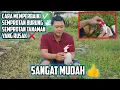 Download Lagu CARA MEMPERBAIKI  SEMPROTAN BURUNG/SEMPROTAN TANAMAN YANG RUSAK