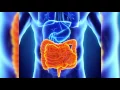 Colon Cleansing