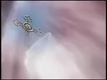 Download Lagu LAGU ROHANI. BETAPA MULIA KASIH MU. rani simbolon. Mp3