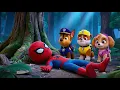 What Happenned? Ryder Spiderman Please Wake Up... Don't Leave Us! - Paw Patrol 3D Animation