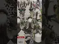 STUNNING CHRISTMAS DISPLAYS at Hobby Lobby