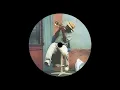 Download Lagu The Bongo Hop - Agua Fría (Menesix Remix)