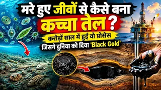 मरे हुए जीवों से कैसे बना करोड़ों बैरल कच्चा तेल? धरती के अंदर छिपा है बड़ा रहस्य!
