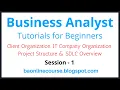 Business Analyst Tutorials for Bebinners Client Organization Project Structure IT Company Org