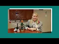 Happy Holidays CHATS - Community Home Assistance to Seniors