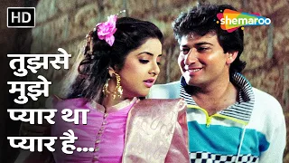 Tujhse Mujhe Pyar Tha Pyar Hai | Geet | Avinash Wadhwan, Divya Bharti | Kumar-Alka Romantic Duets
