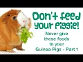 What FOODS Can Guinea Pigs NOT Eat POISONOUS TOXIC Weeds Plants BAD Pet Foods