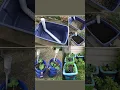 DIY Self-Watering Containers Step-by-Step Guide for Efficient Gardening