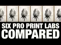 Six Pro Print Labs Compared